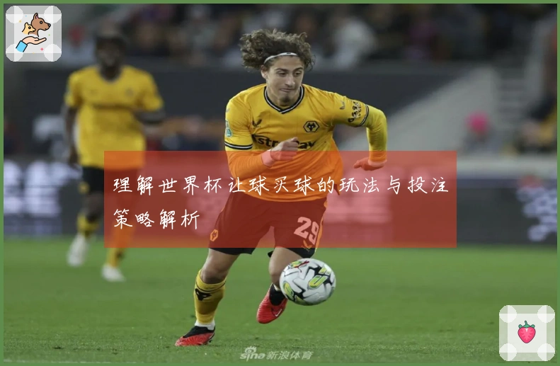 理解世界杯让球买球的玩法与投注策略解析