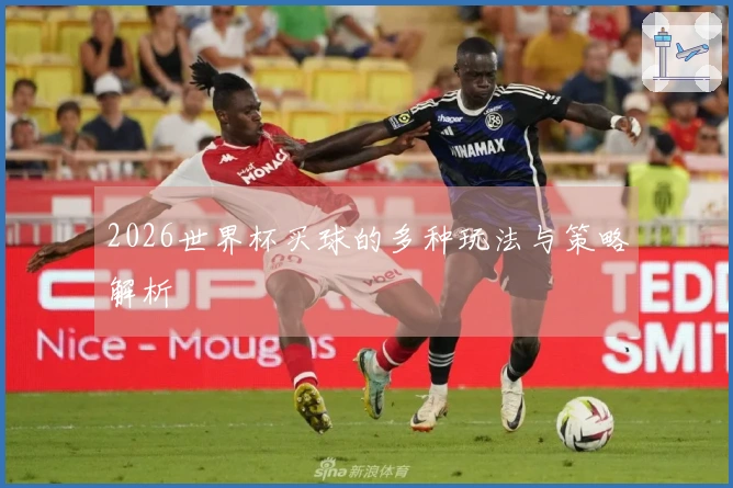 2026世界杯买球的多种玩法与策略解析