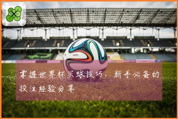 掌握世界杯买球技巧，新手必备的投注经验分享