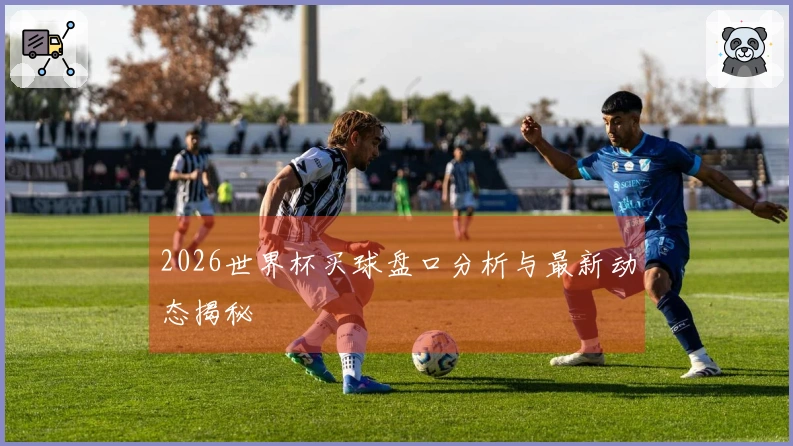 2026世界杯买球盘口分析与最新动态揭秘