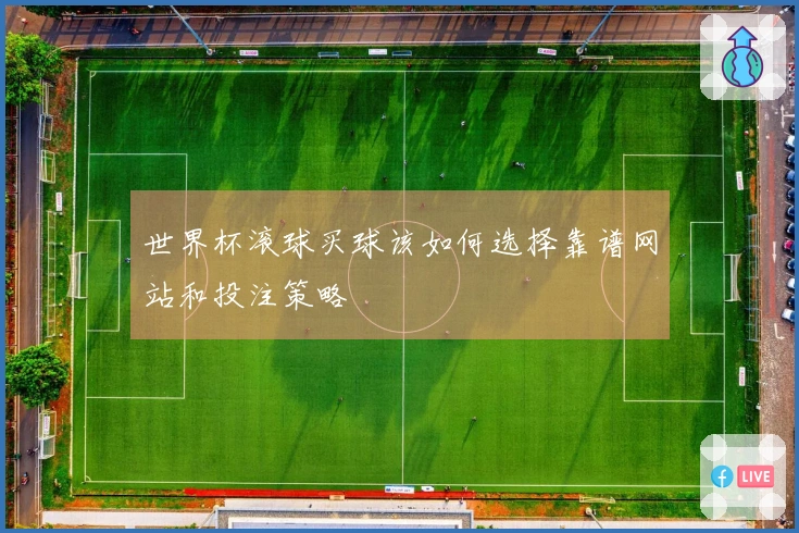 世界杯滚球买球该如何选择靠谱网站和投注策略