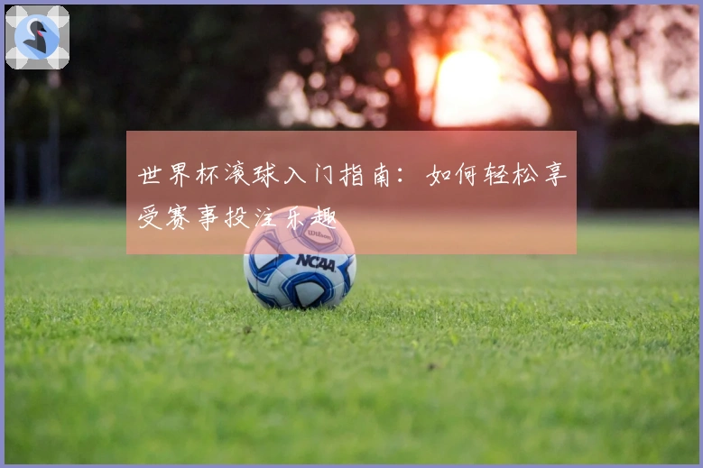 世界杯滚球入门指南：如何轻松享受赛事投注乐趣