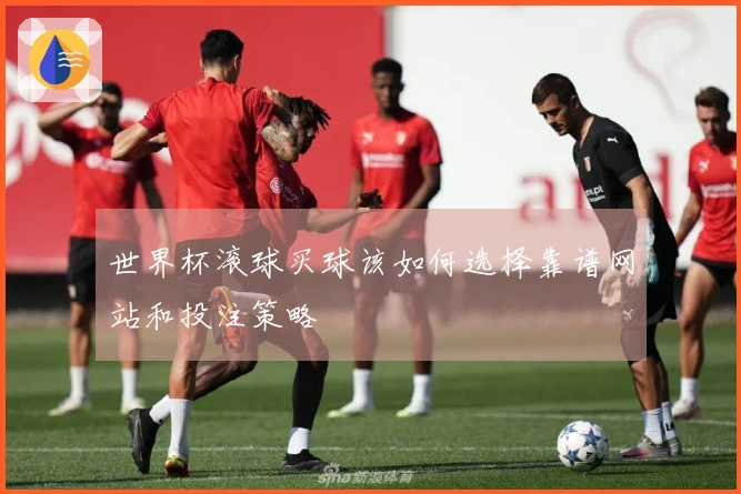 世界杯滚球买球该如何选择靠谱网站和投注策略