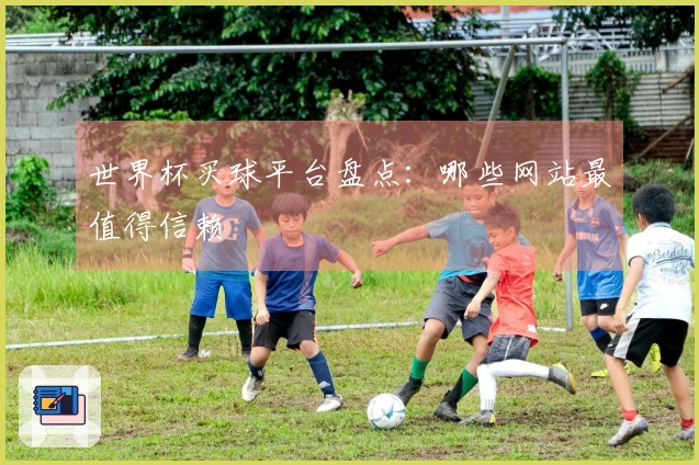 世界杯买球平台盘点：哪些网站最值得信赖