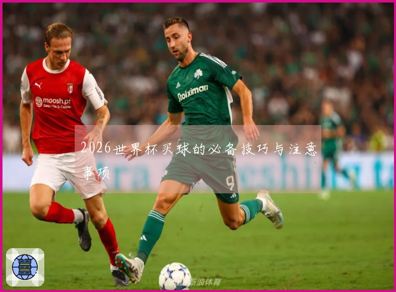 2026世界杯买球的必备技巧与注意事项