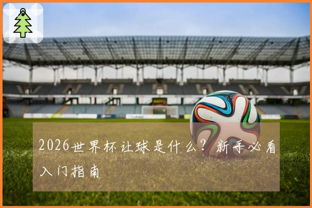 2026世界杯让球是什么？新手必看入门指南