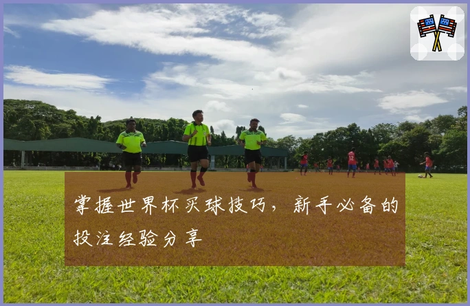 掌握世界杯买球技巧，新手必备的投注经验分享