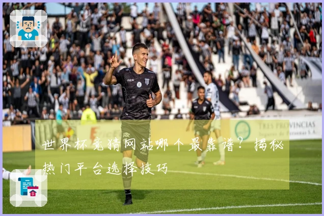 世界杯竞猜网站哪个最靠谱？揭秘热门平台选择技巧